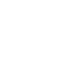 Secure & Transparent Transactions